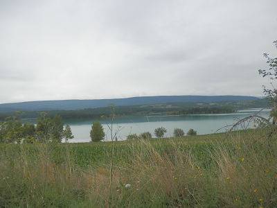 Le lac de Montbel_opt